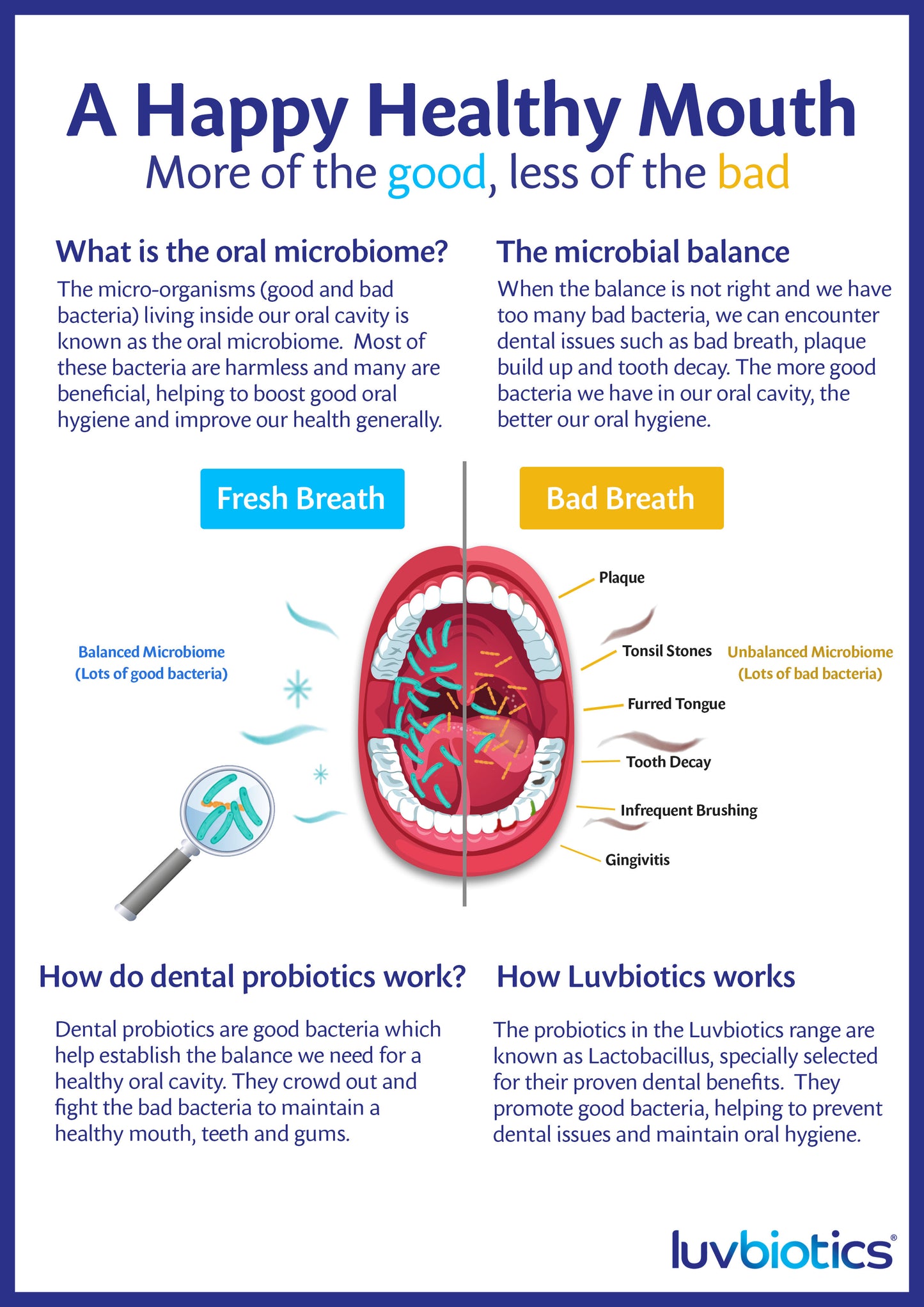 Luv Biotics Alcohol & Fluoride Free Mouthwash with Oral Probiotics, Xylitol & Aloe Vera – 500 ml
